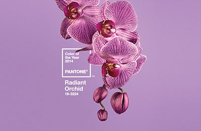 Pantone® Colour of the Year 2014