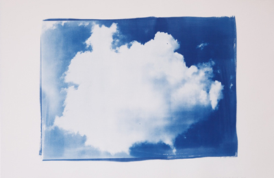 Elisabeth Scheder-Bieschin :: Cyanotypes