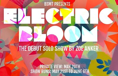 Zoe Anker: Electric Bloom Exhibition at BSMT