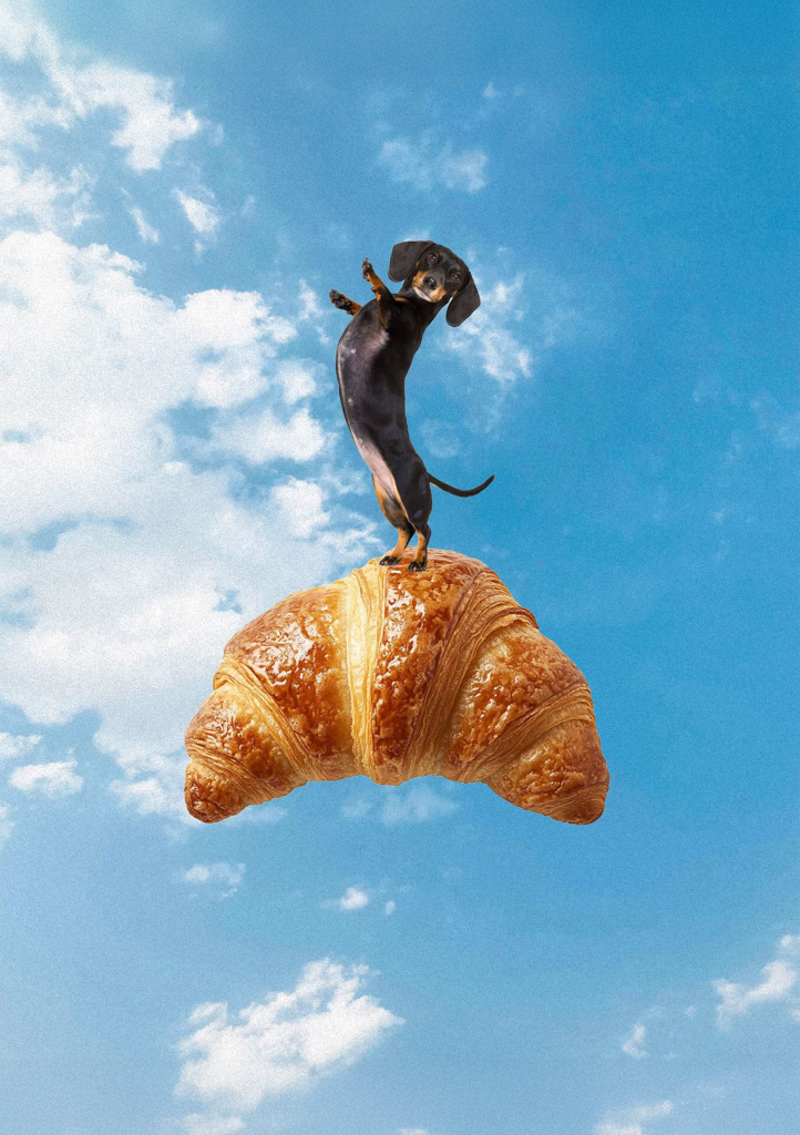 A dachshund standing playfully on top of a croissant against a bright blue sky with fluffy white clouds.