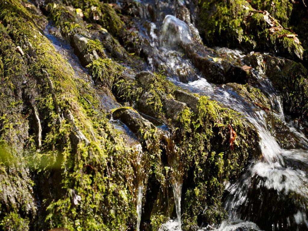 Close-up view of rocks covered in green moss, with water flowing over them.
