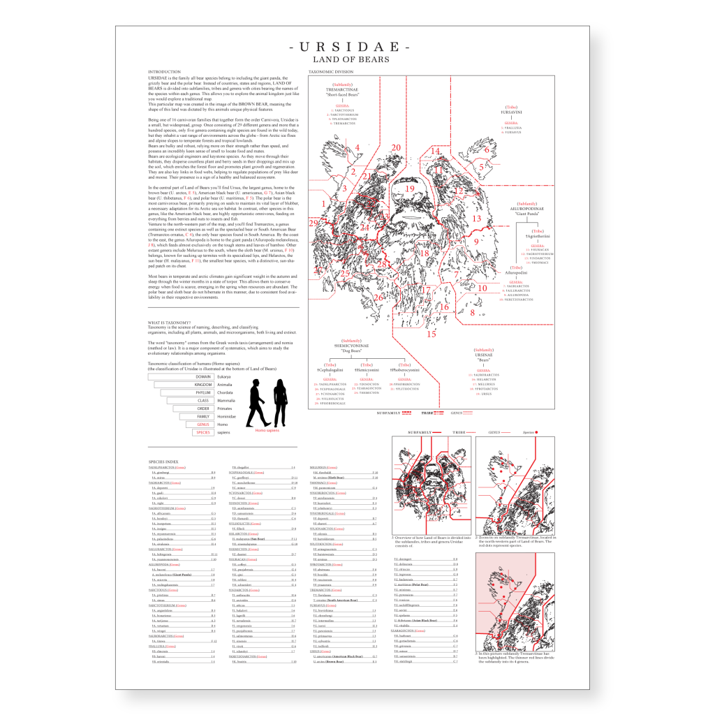 A detailed information sheet titled 'Ursidae - Land of Bears', featuring a map highlighting different bear species and habitats, along with an introduction, taxonomic overview, and species index.