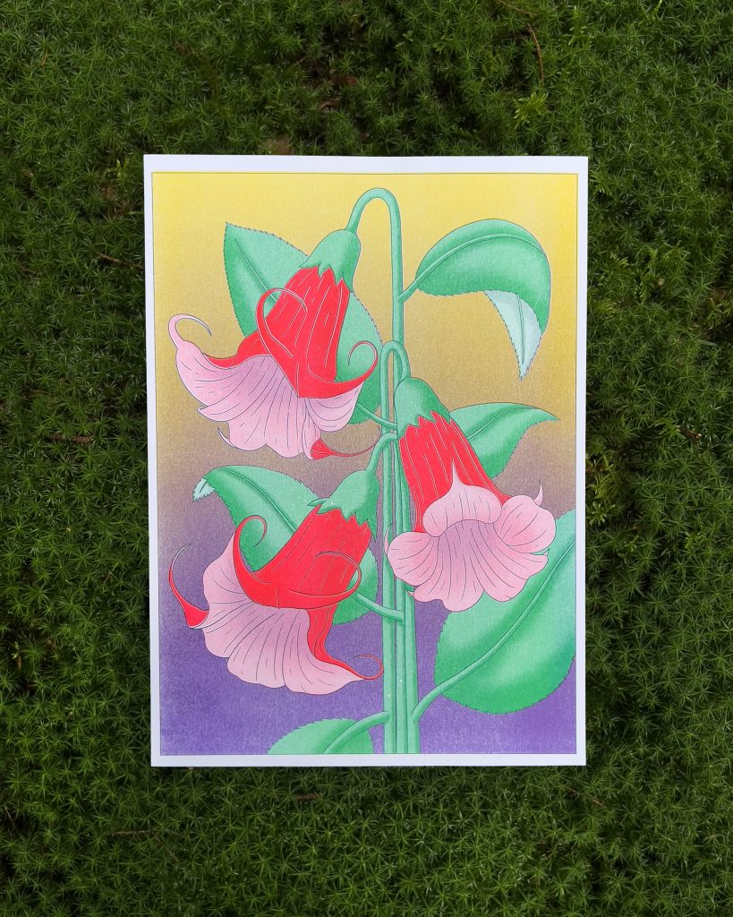 A vibrant illustration of red bell-shaped flowers with green leaves set against a gradient background of yellow and purple.