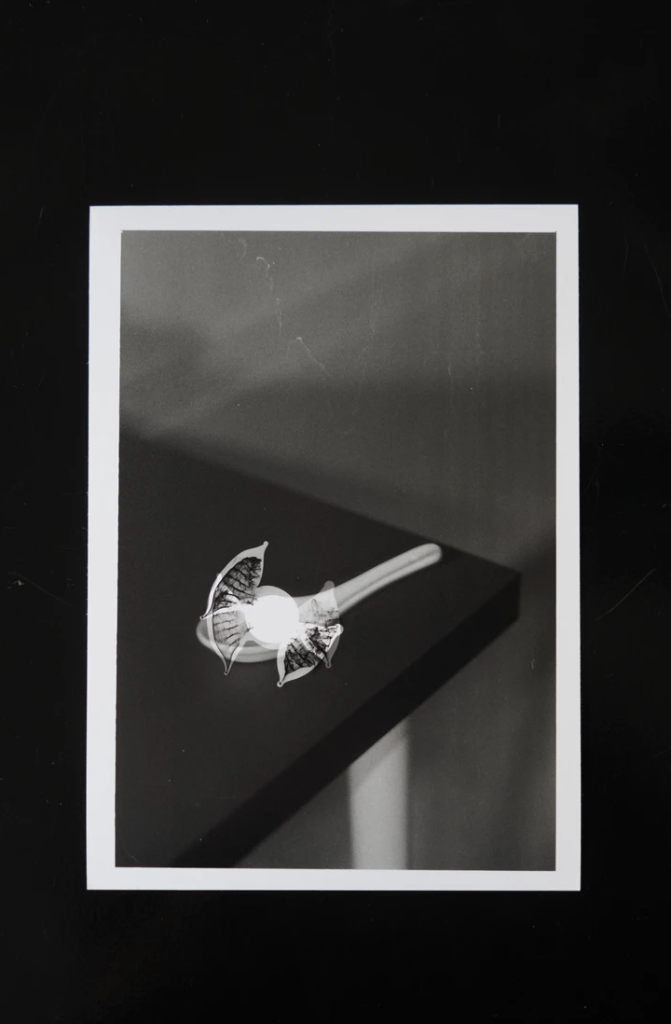 A black and white photograph showing a small flower arrangement in a white vase on a table, with a soft focus background.